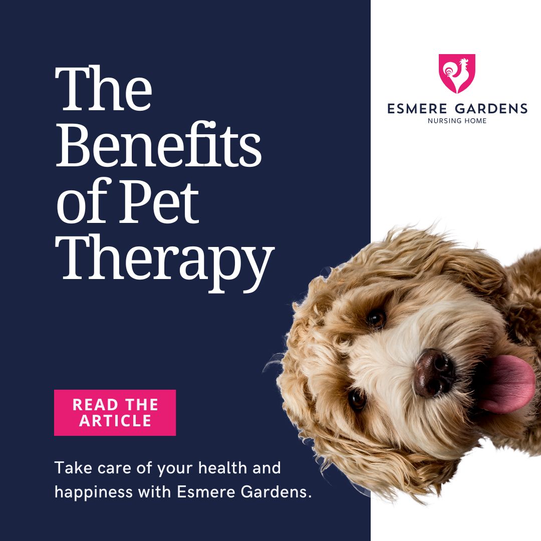 The Benefits of Pet Therapy