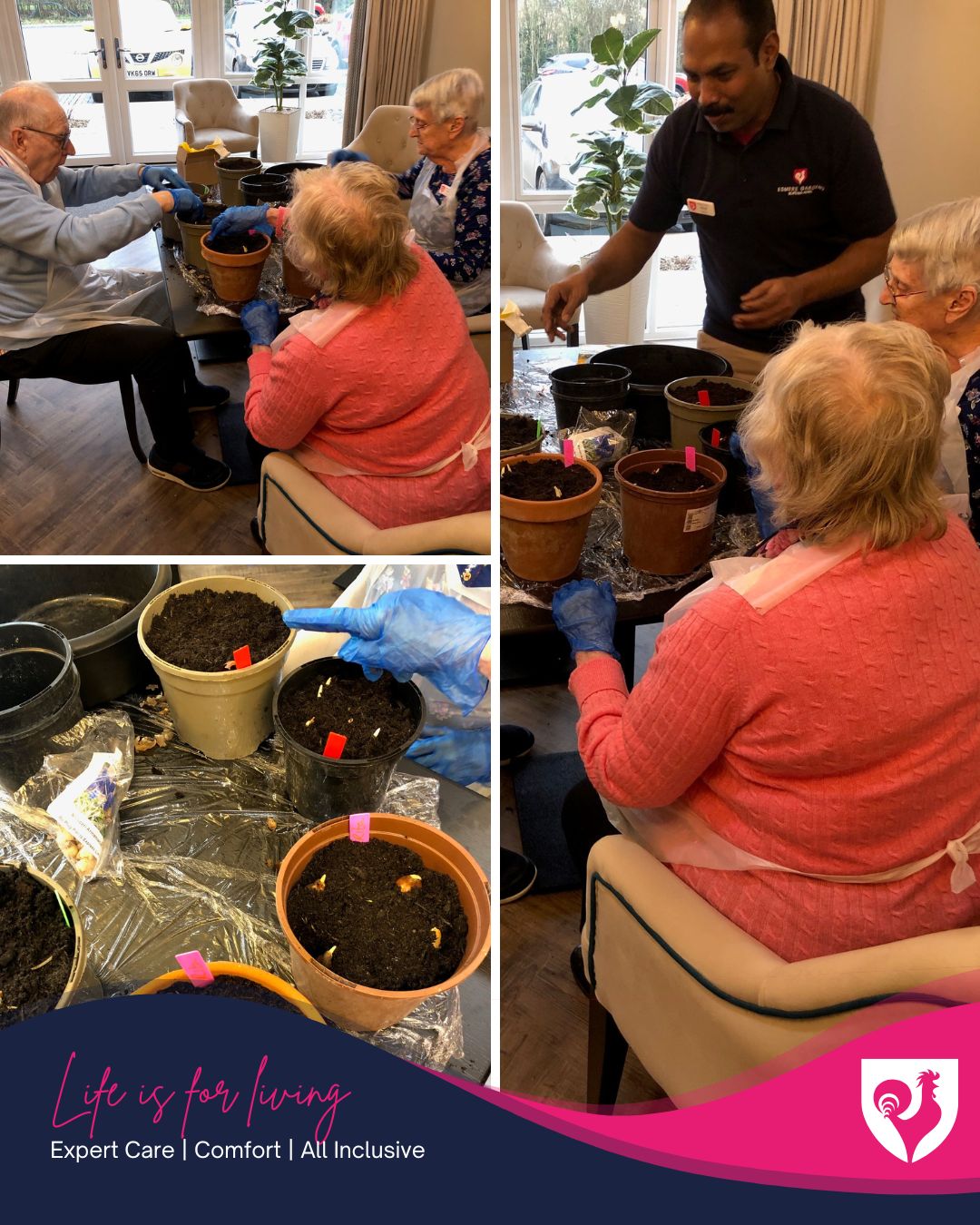 Gardening Club Takes Root at Esmere Gardens!