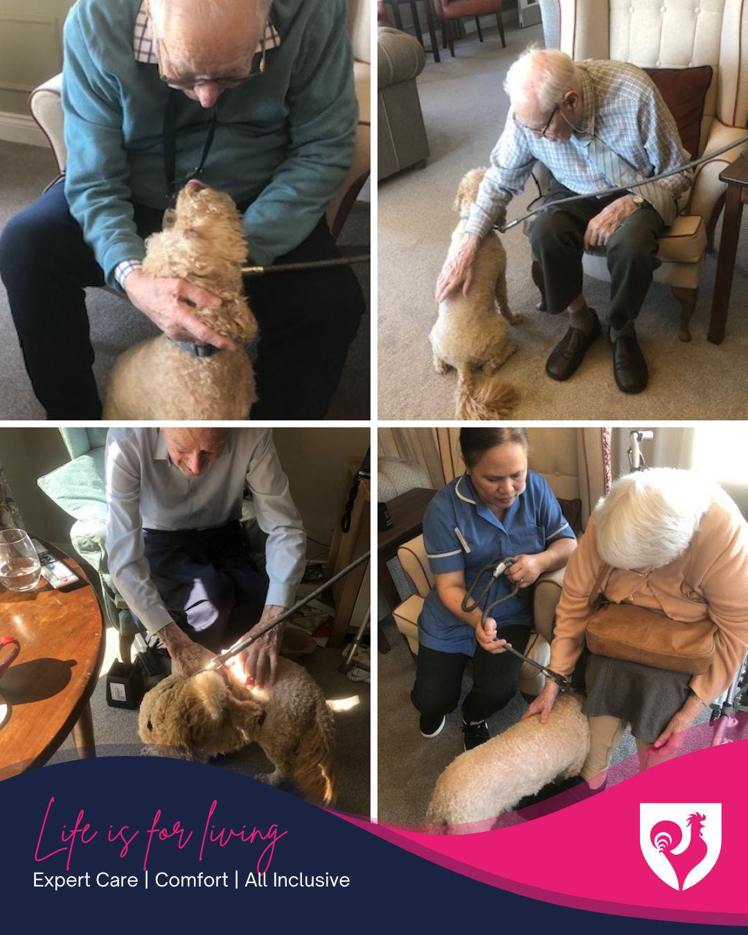 Furry Visitors Always Welcome