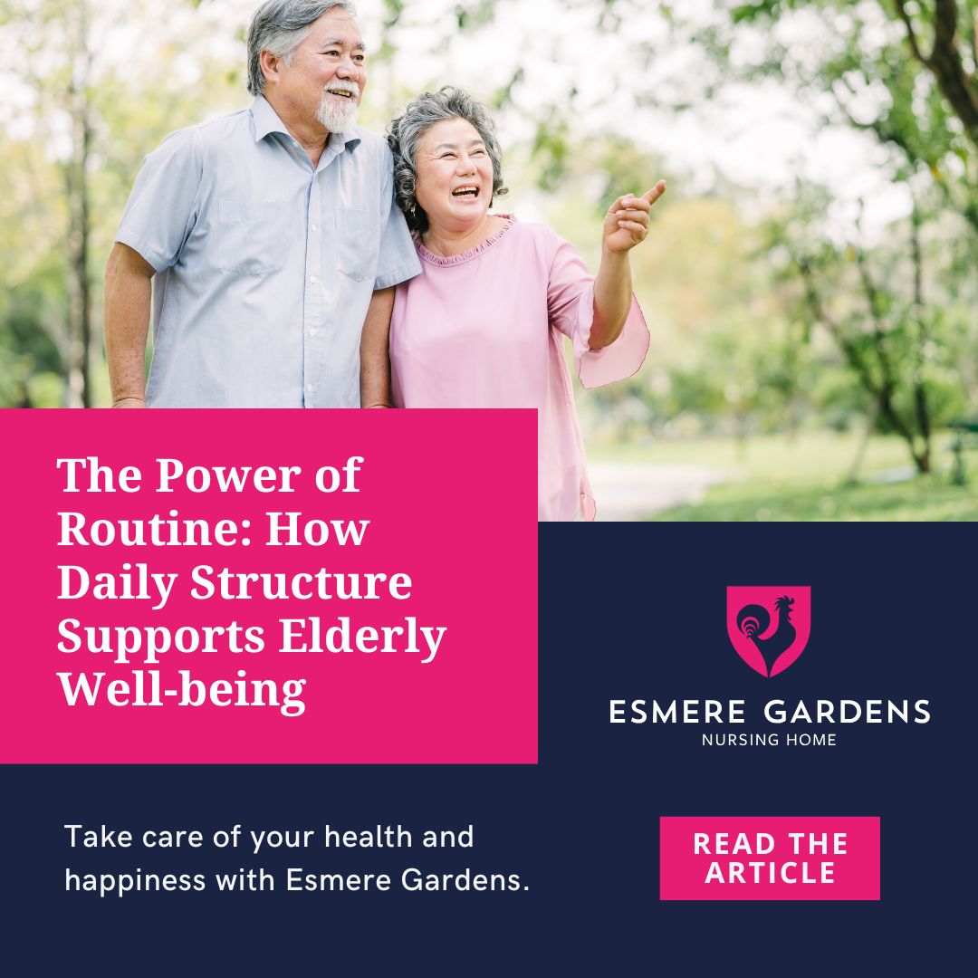 The Power of Routine in Elderly Care
