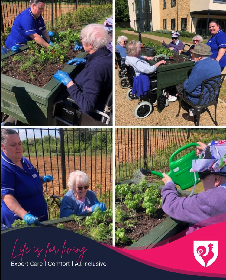 Wheelchair-Friendly Planter
