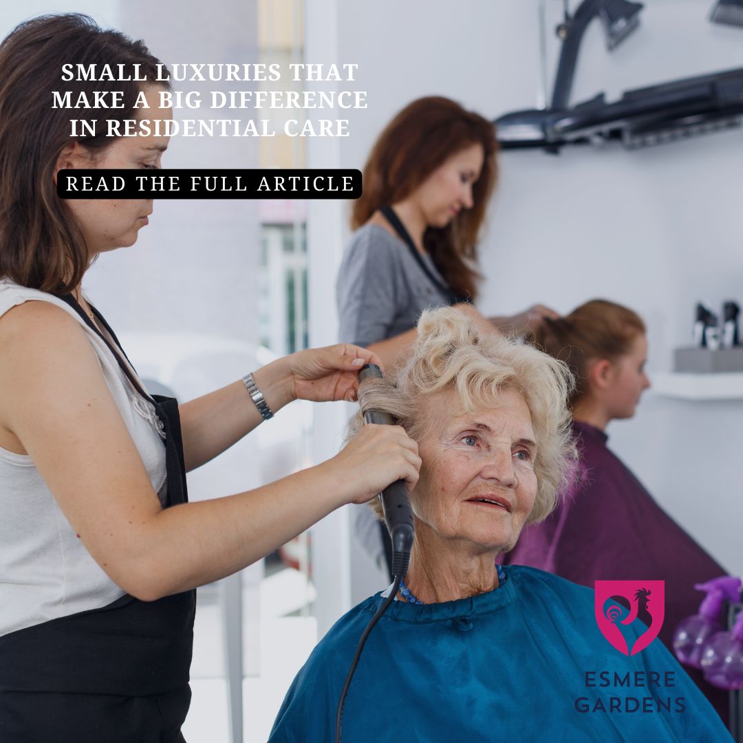 Small Luxuries That Enrich Elderly Living