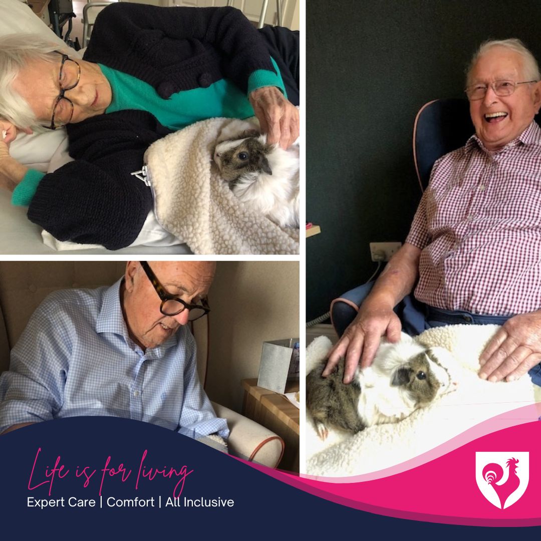Furry Friends Bring Smiles All Round